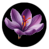 Saffron flower logo from the site